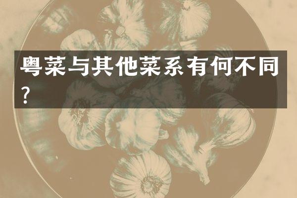 粤菜与其他菜系有何不同？
