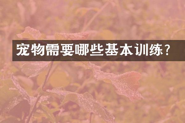 宠物需要哪些基本训练？