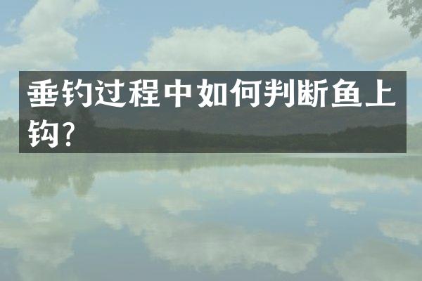 垂钓过程中如何判断鱼上钩？