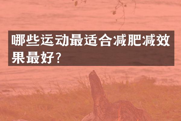 哪些运动最适合减肥减效果最好？