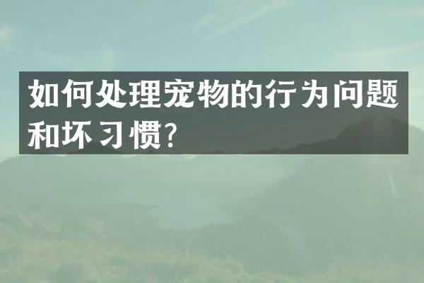 如何处理宠物的行为问题和坏习惯？