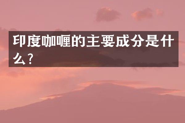 印度咖喱的主要成分是什么？