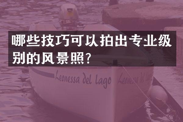 哪些技巧可以拍出专业级别的风景照？