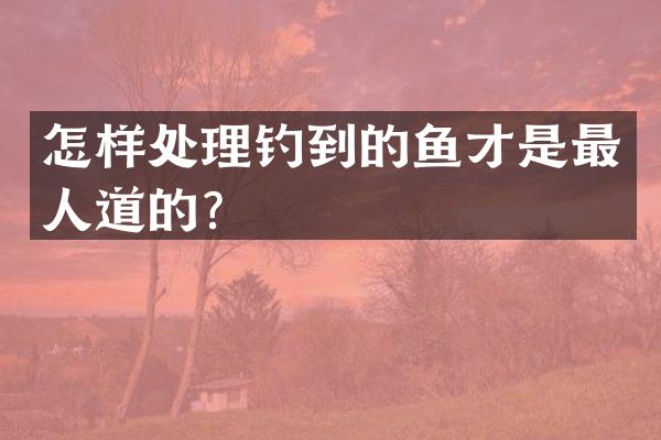 怎样处理钓到的鱼才是最人道的？