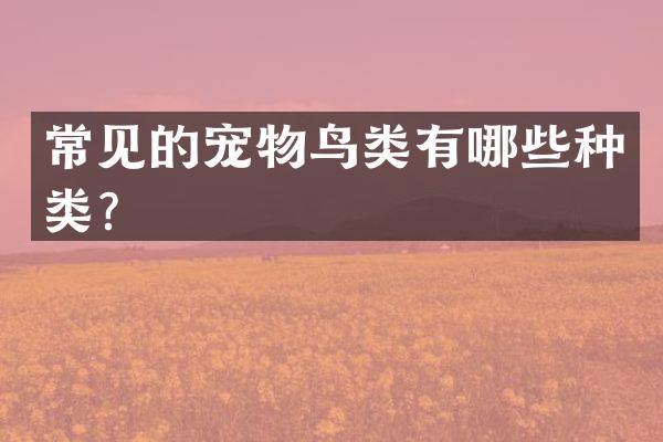 常见的宠物鸟类有哪些种类？
