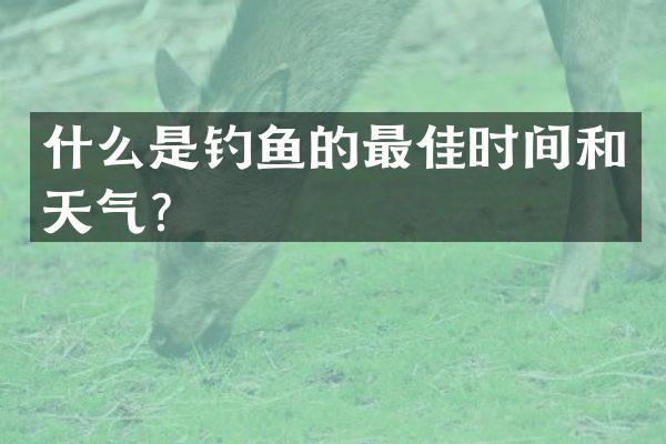 什么是钓鱼的最佳时间和天气？