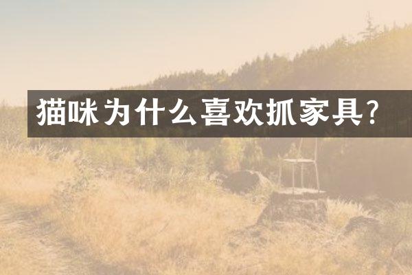 猫咪为什么喜欢抓家具？