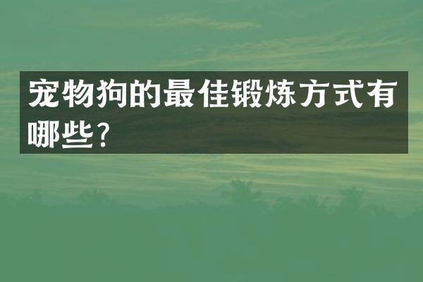 宠物狗的最佳锻炼方式有哪些？