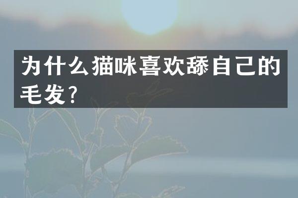 为什么猫咪喜欢舔自己的毛发？