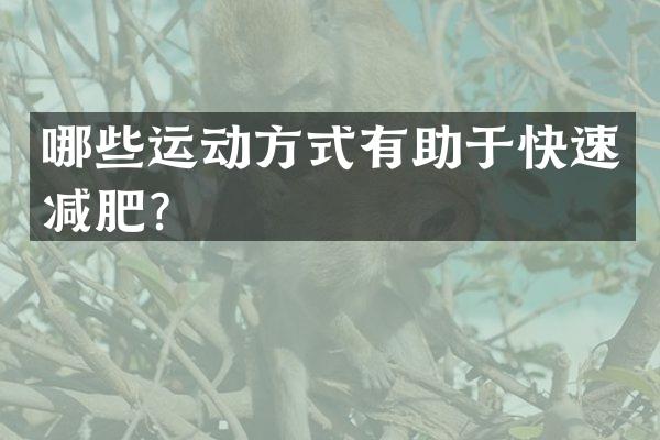 哪些运动方式有助于快速减肥？