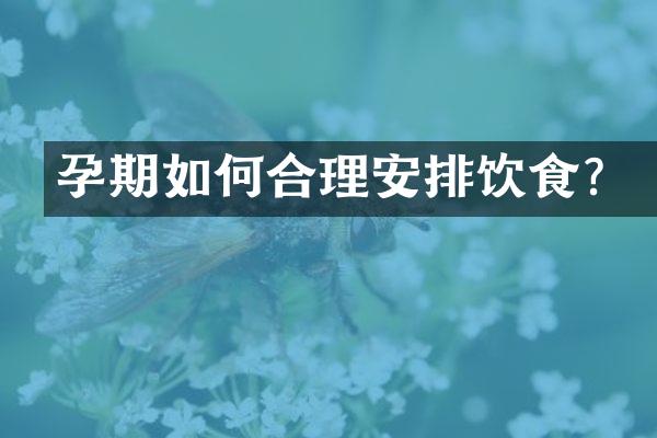 孕期如何合理安排饮食？