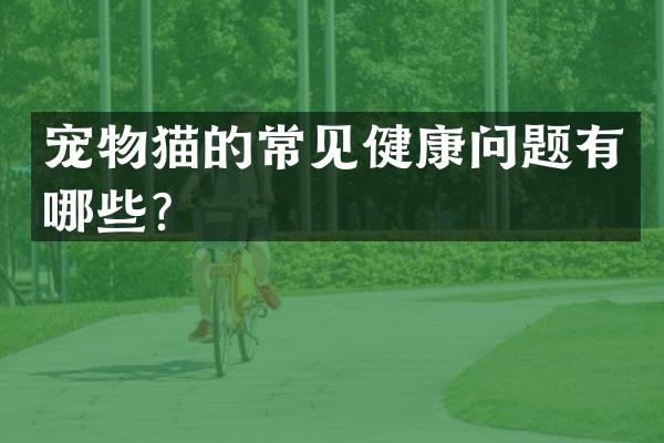 宠物猫的常见健康问题有哪些？