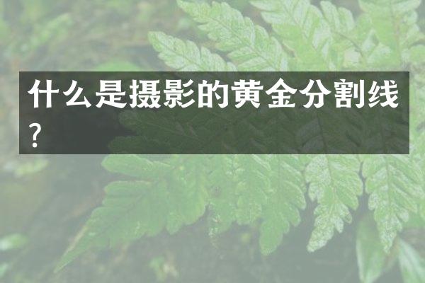 什么是摄影的黄金分割线？
