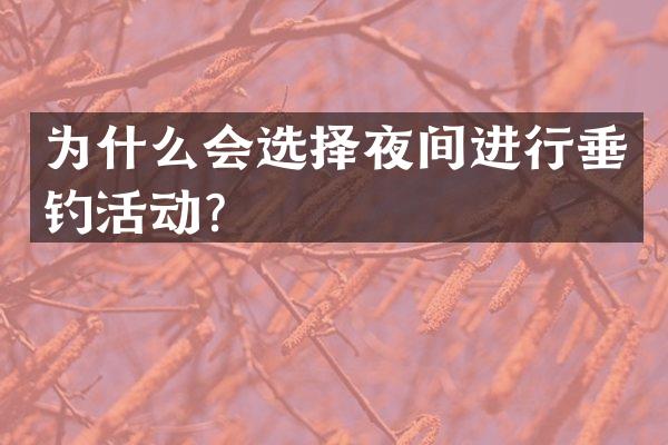 为什么会选择夜间进行垂钓活动？