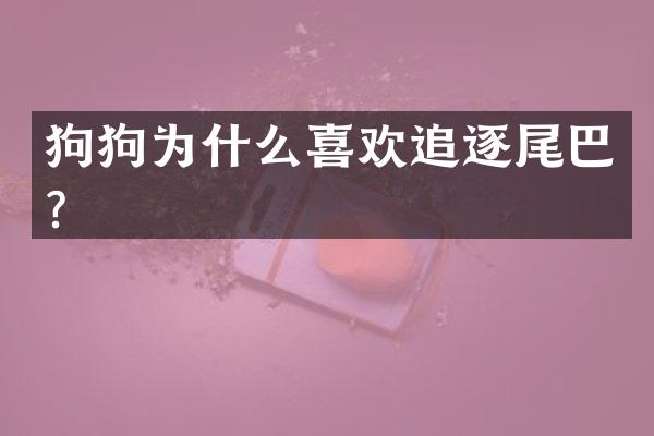 狗狗为什么喜欢追逐尾巴？