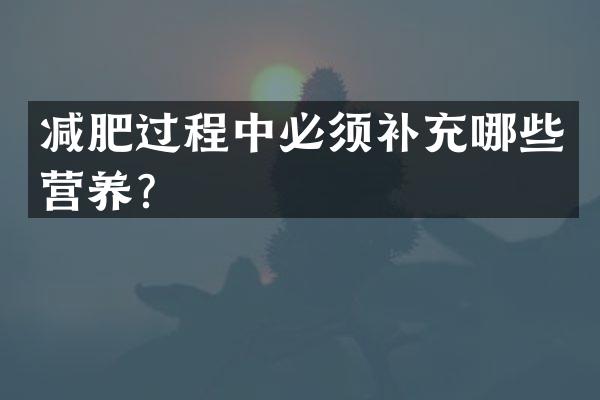 减肥过程中必须补充哪些营养？