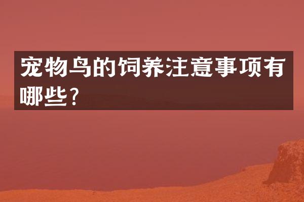宠物鸟的饲养注意事项有哪些？
