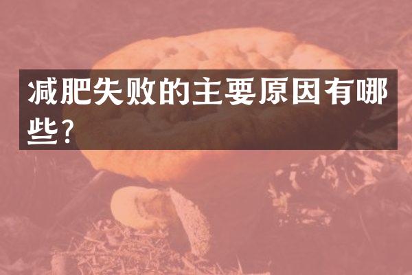 减肥失败的主要原因有哪些？