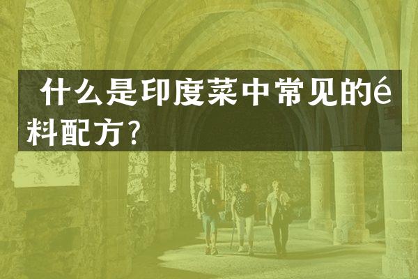  什么是印度菜中常见的香料配方？