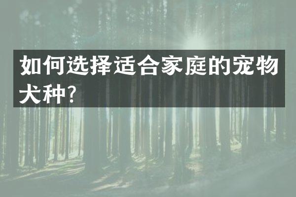 如何选择适合家庭的宠物犬种？