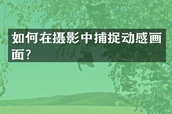 如何在摄影中捕捉动感画面？
