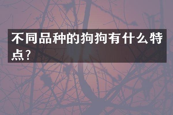 不同品种的狗狗有什么特点？