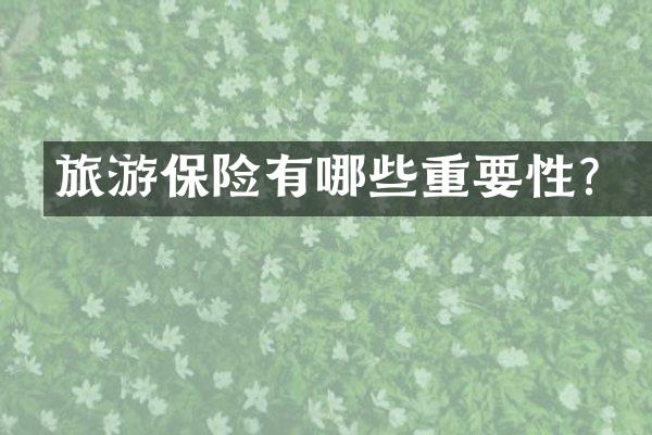 旅游保险有哪些重要性？