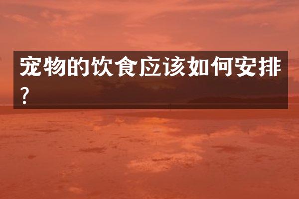 宠物的饮食应该如何安排？