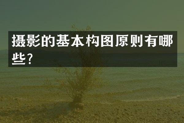 摄影的基本构图原则有哪些？