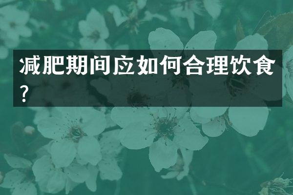 减肥期间应如何合理饮食？