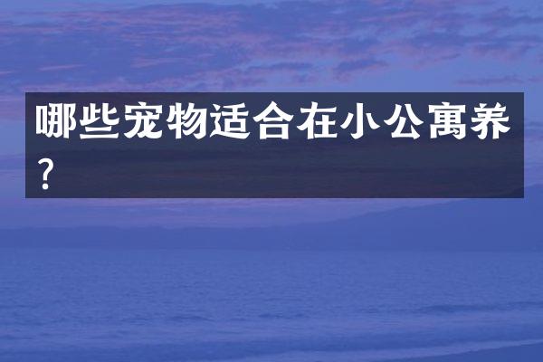 哪些宠物适合在小公寓养？