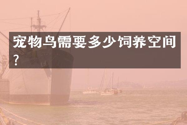 宠物鸟需要多少饲养空间？