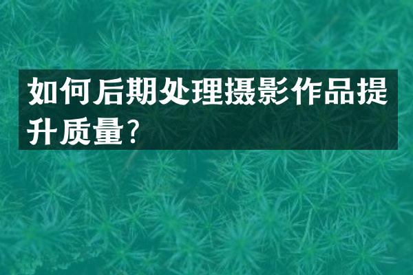 如何后期处理摄影作品提升质量？
