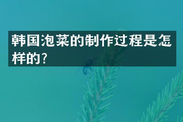 韩国泡菜的制作过程是怎样的？