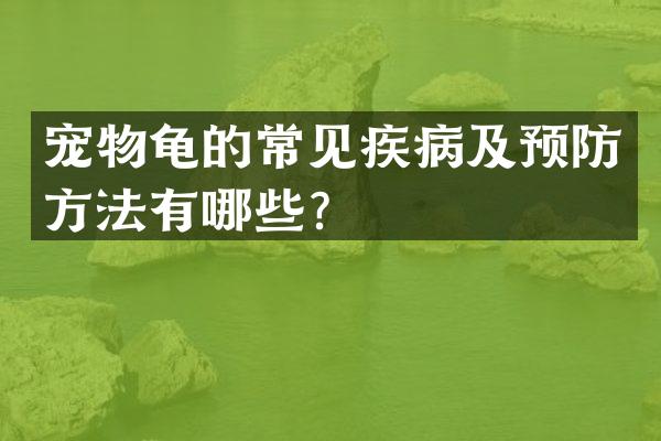 宠物龟的常见疾病及预防方法有哪些？