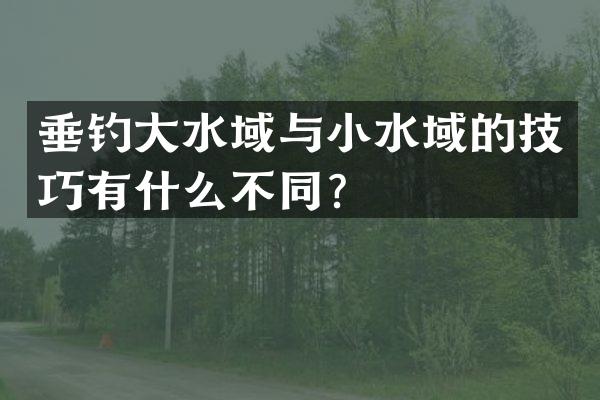 垂钓大水域与小水域的技巧有什么不同？