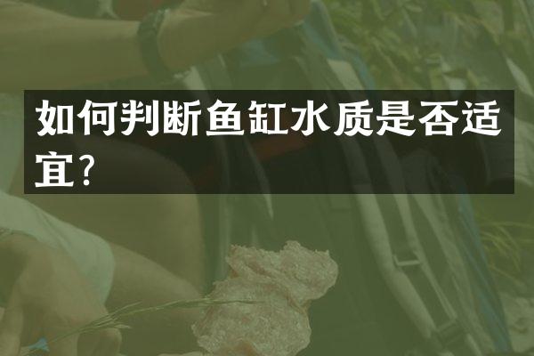 如何判断鱼缸水质是否适宜？