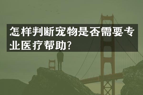 怎样判断宠物是否需要专业医疗帮助？