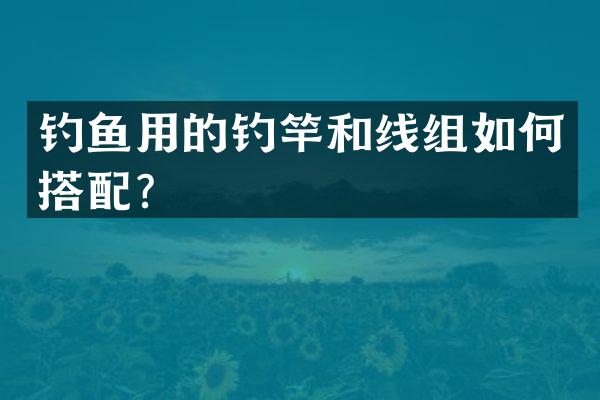 钓鱼用的钓竿和线组如何搭配？