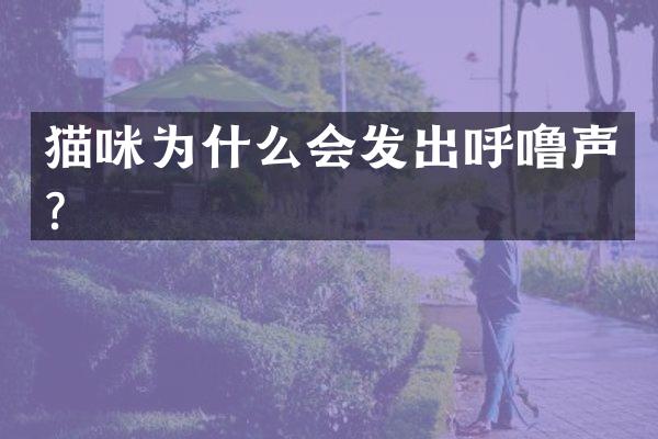 猫咪为什么会发出呼噜声？