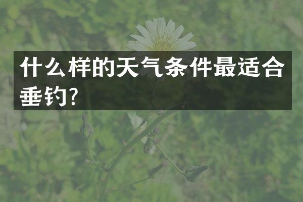 什么样的天气条件最适合垂钓？