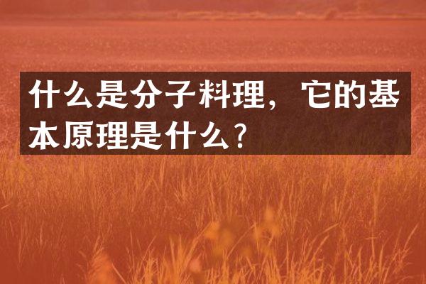 什么是分子料理，它的基本原理是什么？