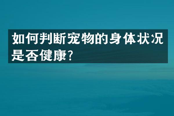 如何判断宠物的身体状况是否健康？