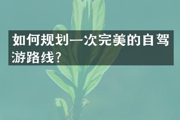 如何规划一次完美的自驾游路线？