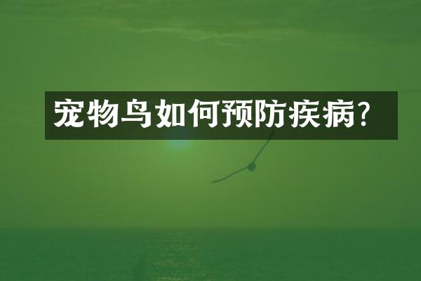 宠物鸟如何预防疾病？
