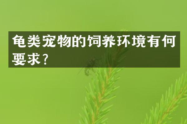 龟类宠物的饲养环境有何要求？