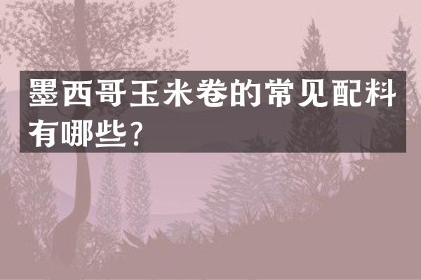 墨西哥玉米卷的常见配料有哪些？