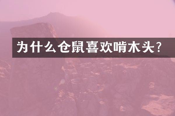 为什么仓鼠喜欢啃木头？