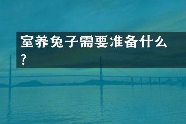 室內养兔子需要准备什么？
