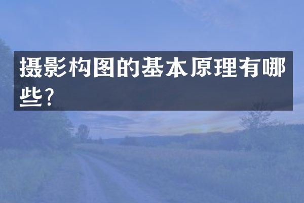 摄影构图的基本原理有哪些？